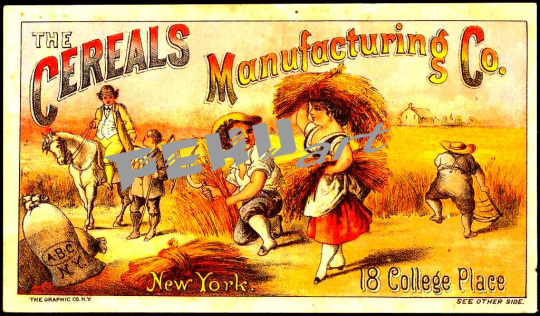 the-cereals-manufacturing-co-new-york-18-college-place-20020