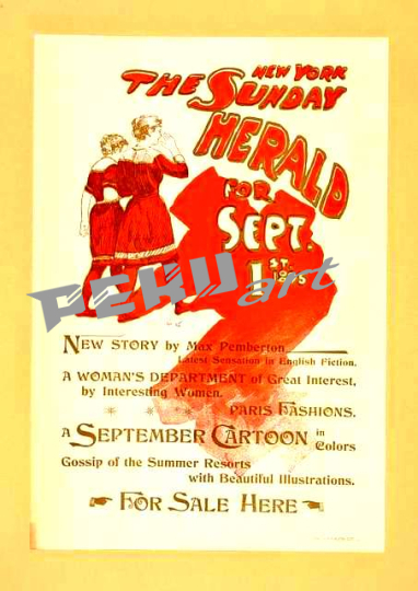 the-new-york-sunday-herald-for-sept-1st-1895-09be73