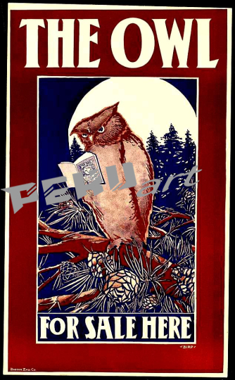 the-owl-for-sale-here-26d9fc