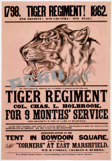 Tiger Regiment union volunteer army civil war 