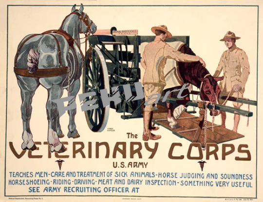 Veteriary Corps