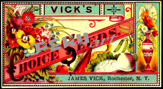 vicks-choice-seeds-257671