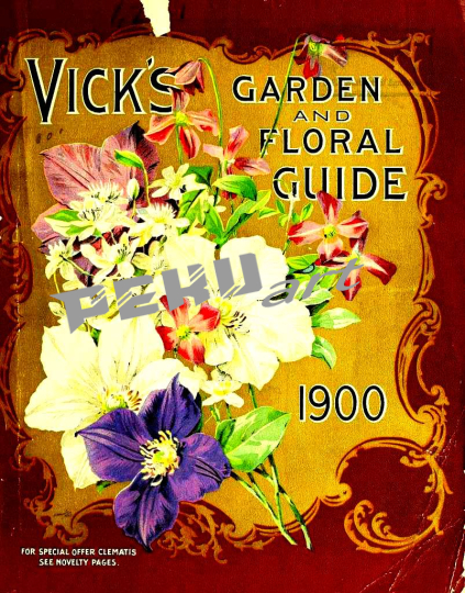 vicks-garden-and-floral-guide-16563214855-83b85b