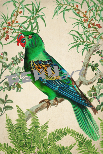 vintage-kunst-tropisch-vogel