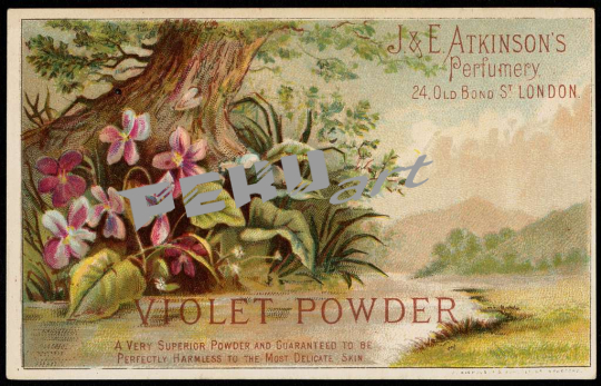 violet-powder-a-very-superior-powder-and-guaranteed-to-be-pe