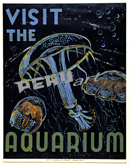 visit the aquarium   wpa 