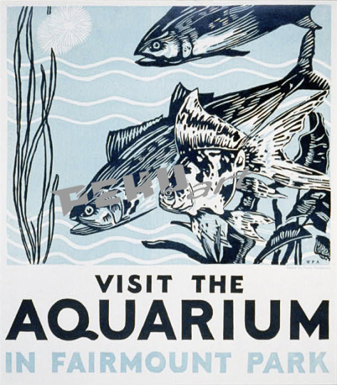 visit the aquarium wpa 