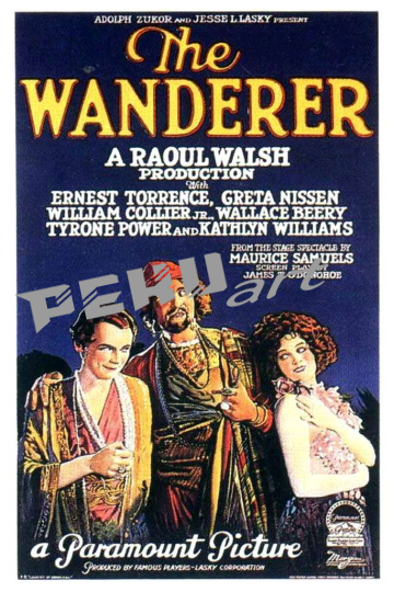 wanderer poster