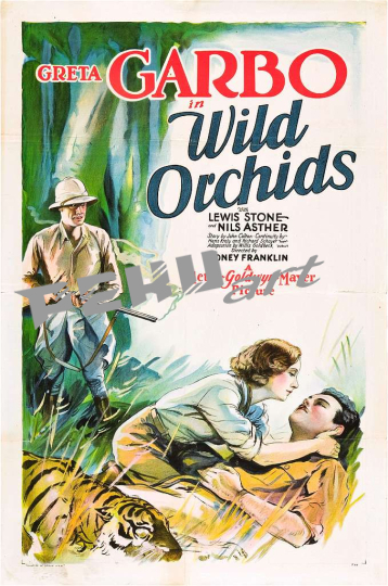 wild-orchids-poster-c834ea