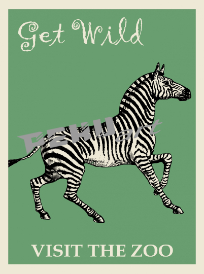zebra-zoo-poster